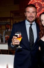 RACHEL BROSNAHAN at Stella Artois Let