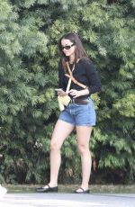 ANA DE ARMAS Out with Her Dog in Los Angeles 10/28/2025