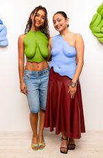 HANNAH TRAORE at Misha Japanwala: Sarsabzi Opening at Hannah Traore Gallery in New York 09/17/2025