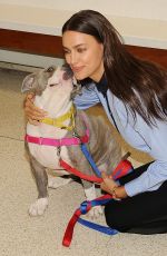 IRINA SHAYK at ASPCA Adoption Center in New York City 11/03/2015
