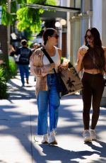 NIKKI and BRIE BELLA Out for Breakfast at Erewhon in Beverly Hills 10/11/2025