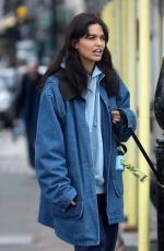 RACHEL ZEGLER Walks Her Dog Out in London 10/08/2025