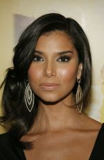ROSELYN SANCHEZ at Yellow Premiere in Los Angeles 06/19/2007