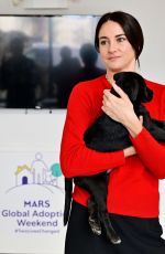 SHAILENE WOODLEY at Mars Global Adoption Weekend Pet Adoption Awareness Event in New York City 09/30/2025