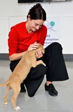 SHAILENE WOODLEY at Mars Global Adoption Weekend Pet Adoption Awareness Event in New York City 09/30/2025