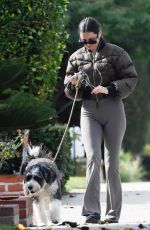 ANA DE ARMAS Out Walking Her Dog in Los Angeles 11/18/2025