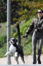 ANA DE ARMAS Out Walking Her Dog in Los Angeles 11/18/2025
