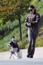 ANA DE ARMAS Out Walking Her Dog in Los Angeles 11/18/2025