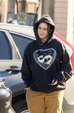 BILLIE EILISH Out for a Thanksgiving Lunch in Los Angeles 11/27/2025