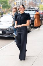 CHASE SUI WONDER Out in Flatiron District in New York City 11/21/2025