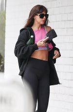 DAKOTA JOHNSON Heading to a Gym in Malibu 11/12/2025