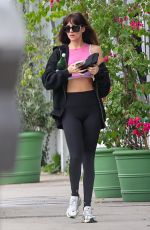 DAKOTA JOHNSON Heading to a Gym in Malibu 11/12/2025