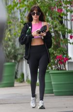 DAKOTA JOHNSON Heading to a Gym in Malibu 11/12/2025