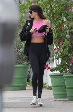 DAKOTA JOHNSON Heading to a Gym in Malibu 11/12/2025