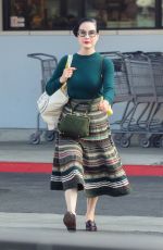 DITA VON TEESE Out Shopping at Lazy Acres in Los Angeles 10/31/2025