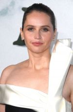 FELICITY JONES at Train Dreams Premiere in Hollywood 11/03/2025