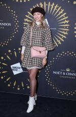 FREDDY COUSIN-BROWN at Launch of Skate at Somerset House with Moet & Chandon in London 11/15/2022