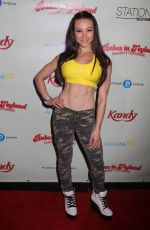 LAUREN PAPPAS at Babes In Toyland 6th Annual Red Carpet Charity Toy Drive in Hollywood 12/11/2013
