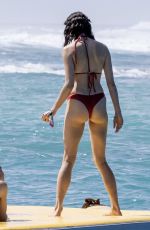 MARGARET QUALLEY in Bikini at a Beach in Hawaii 11/03/2025