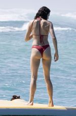 MARGARET QUALLEY in Bikini at a Beach in Hawaii 11/03/2025