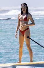 MARGARET QUALLEY in Bikini at a Beach in Hawaii 11/03/2025