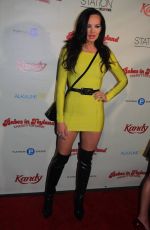 NATASHA ALAM at Babes In Toyland 6th Annual Red Carpet Charity Toy Drive in Hollywood 12/11/2013