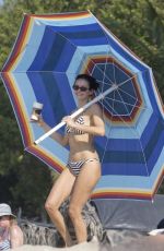 NINA DOBREV in Bikini Celebrates Thanksgiving with Friends at a Beach in Mexico 11/29/2025