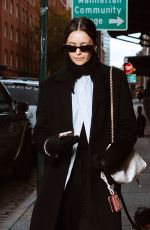 NINA DOBREV Out with Her Dog in Greenwich Village in New York City 11/13/2025
