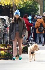 RACHEL ZEGLER Out Walking Her Fog in New York City 11/05/2025