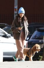 RACHEL ZEGLER Out Walking Her Fog in New York City 11/05/2025
