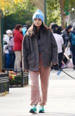 RACHEL ZEGLER Out Walking Her Fog in New York City 11/05/2025