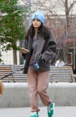RACHEL ZEGLER Out Walking Her Fog in New York City 11/05/2025
