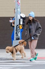 RACHEL ZEGLER Out Walking Her Fog in New York City 11/05/2025