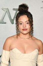 SARAH JEFFERY at Train Dreams Premiere in Los Angeles 11/03/2025