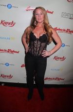 TAMI ERIN at Babes In Toyland 6th Annual Red Carpet Charity Toy Drive in Hollywood 12/11/2013