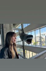 ALISON BRIE - Instagram Photos 12/23/2025