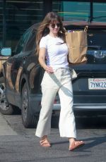 ALISON BRIE Out Shopping at Gelson