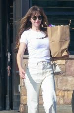 ALISON BRIE Out Shopping at Gelson