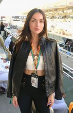 ANA DE ARMAS at F1 Abu Dhabi Grand Prix in Abu Dhabi 12/07/2025