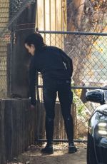 BILLIE EILISH Arrives at an Equestrian Facility in Los Angeles 11/29/2025