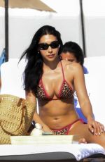 CHANTEL JEFFRIES in Bikini at a Beach in Miami 12/21/2025