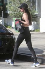 DAKOTA JOHNSON Leaves a Gym in Studio City 12/27/2025