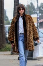 DAKOTA JOHNSON Meets up With Mom MELANIE GRIFFITH for Christmas Shopping in Los Angeles 12/23/2025