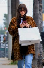DAKOTA JOHNSON Meets up With Mom MELANIE GRIFFITH for Christmas Shopping in Los Angeles 12/23/2025