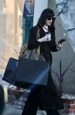 DAKOTA JOHNSON Out Shopping at Melrose Place in West Hollywood 12/27/2025