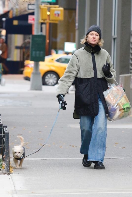 NAOMI WATTS Stocks up on Groceries while Walking Her Dog in New York City 12/07/2025