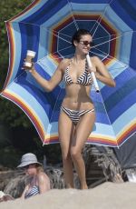 NINA DOBREV in a Striped Bikini at a Beach in Jalisco in Mexico 11/28/2025