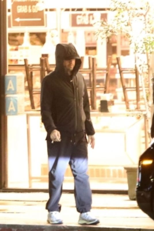 VITTORIA CERETTI and Leonardo DiCaprio Out for Dinner Date in Studio City 12/27/2025