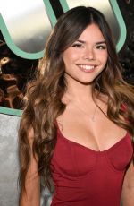 ALANNAH KEYSER at 2026 Warner Music GRAMMY Party in Los Angeles 01/29/2026