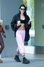 AMELIA and DELILAH HAMLIN Out in Los Angeles 01/26/2026